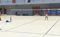 friendly-badminton-one