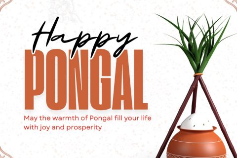 Pongal graphic